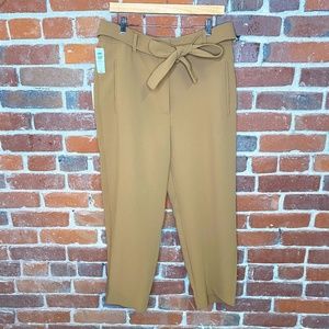 Wilfred Saville Tie-Front Pants in Taupe Size 14
